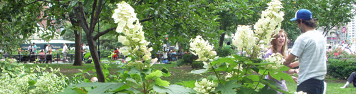j0707 j0707