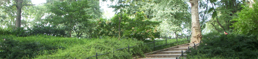 j0811 j0811
