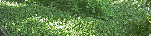 j0813 j0813