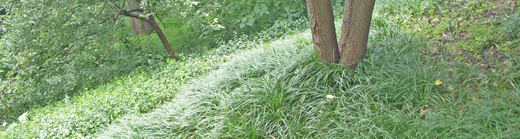 j0814 j0814