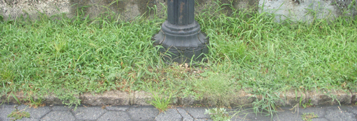 j0827 j0827