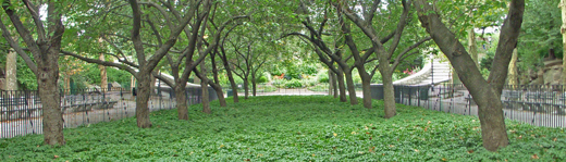 j0918 j0918