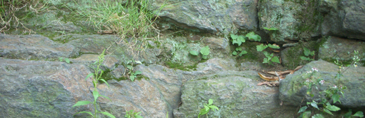 j09231 j09231