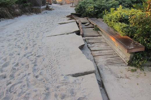 BeachcombingL12x520